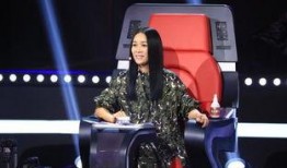 那英爆料视频,揭秘娱乐圈不为人知的真相